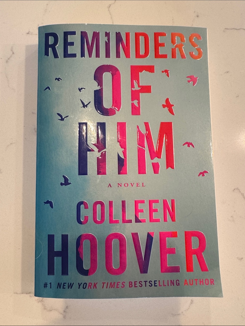 Reminders of Him - Paperback Novel
